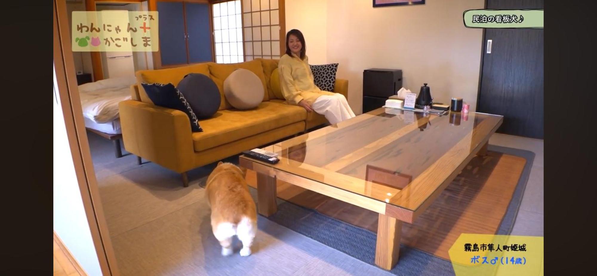 Boss'Shouse 犬ok 1組限定の宿 Kirishima Eksteriør billede